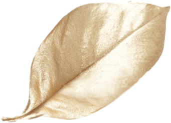 Big Golden Leaf