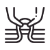 Vein Icon